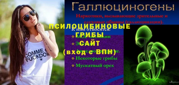 прущий лед Абаза