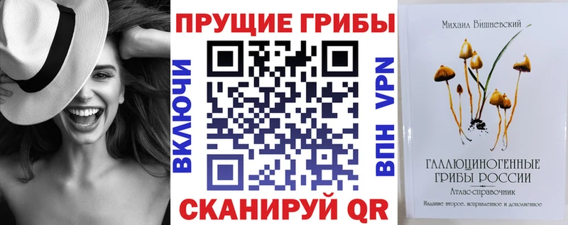 Псилоцибиновые грибы прущие грибы  Гусь-Хрустальный 